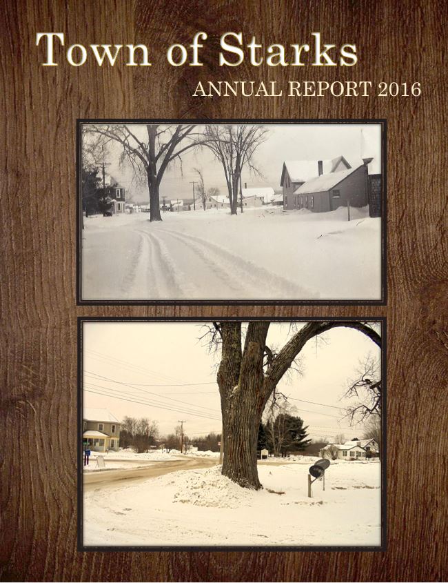 Town of Stark Annual Report